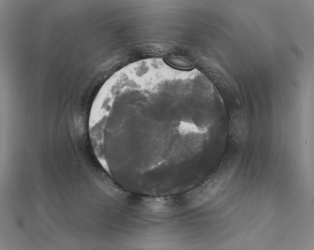 X0000111480131200908111210