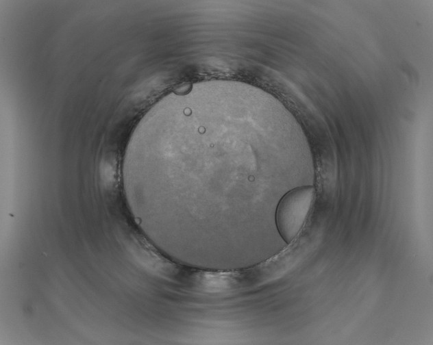 X0000111480134200908111210