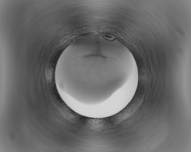 X0000111480139200908111210