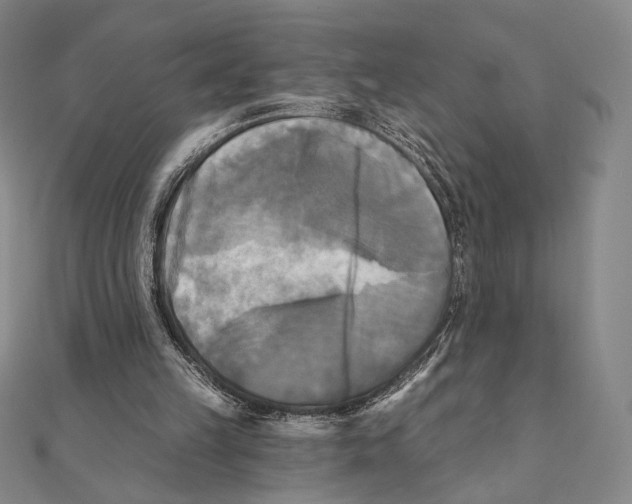 X0000111480149200908111209