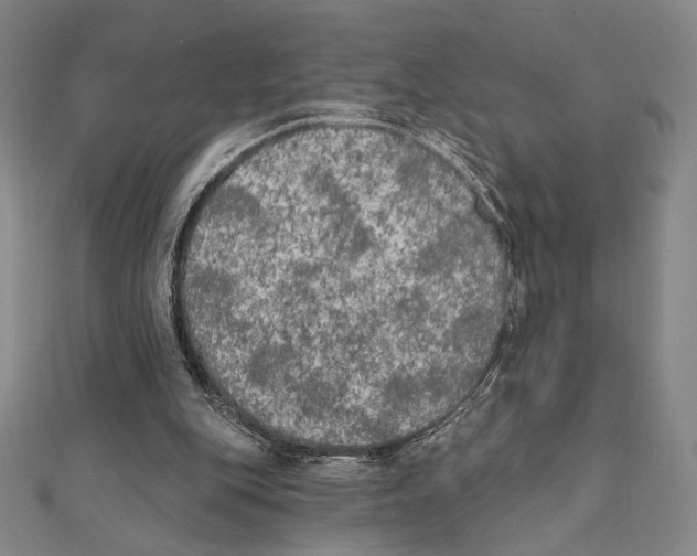 X0000111480151200908111209