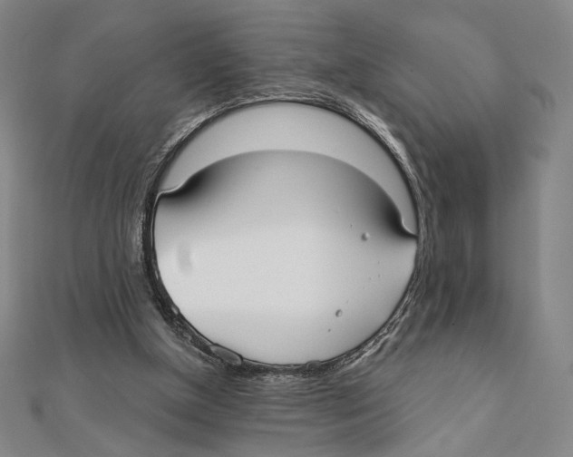X0000111480154200908111209