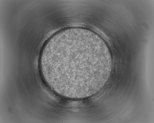 X0000111480155200908111209