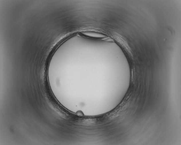 X0000111480156200908111209
