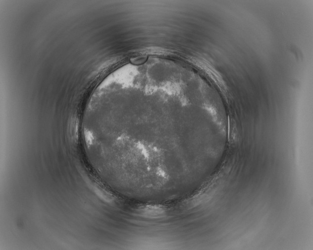 X0000111480157200908111209