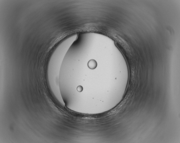X0000111480158200908111209
