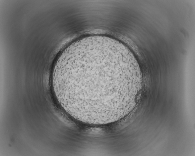 X0000111480159200908111209