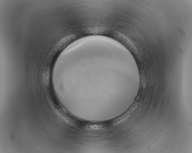 X0000111480163200908111209