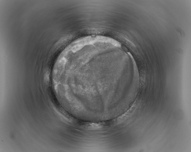 X0000111480166200908111209