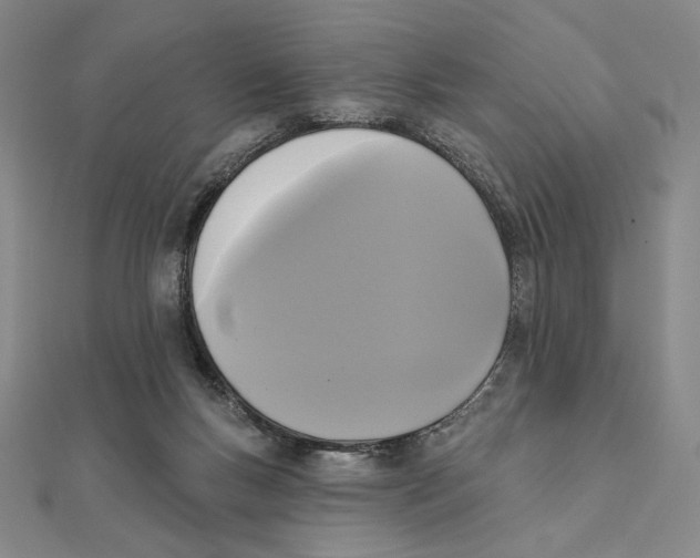 X0000111480167200908111209