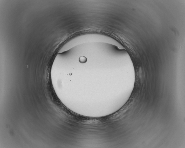 X0000111480168200908111209