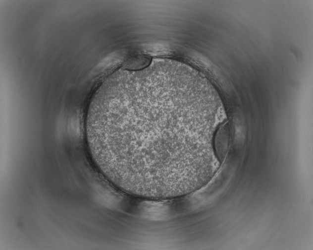 X0000111480170200908111210