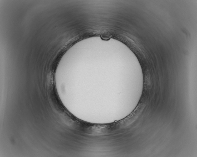 X0000111480172200908111210