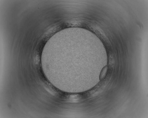 X0000111480173200908111210