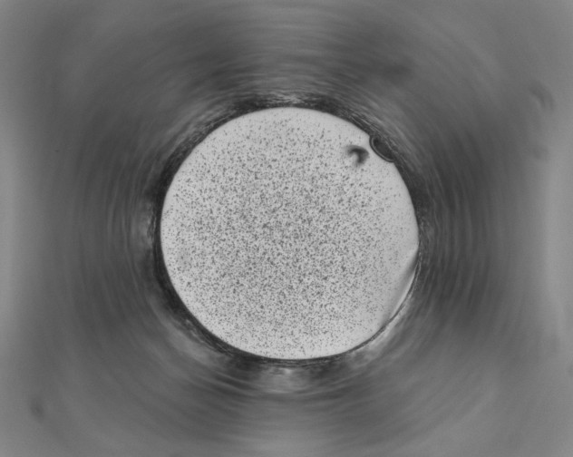 X0000111480174200908111210