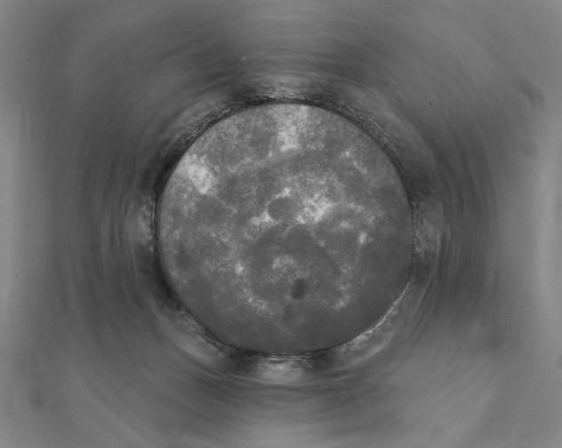 X0000111480175200908111210