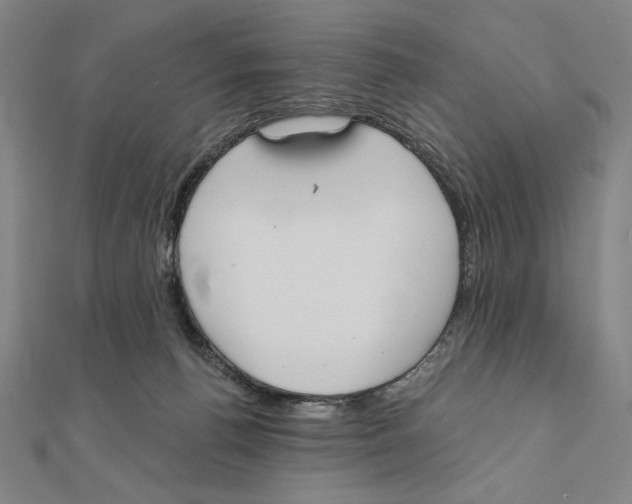 X0000111480176200908111210