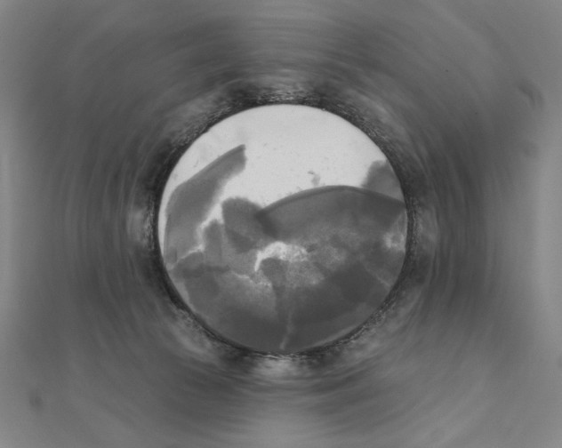 X0000111480177200908111210