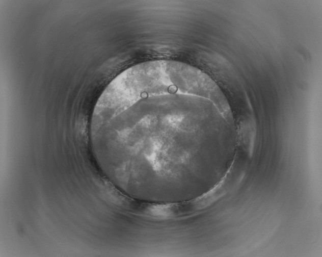 X0000111480178200908111210