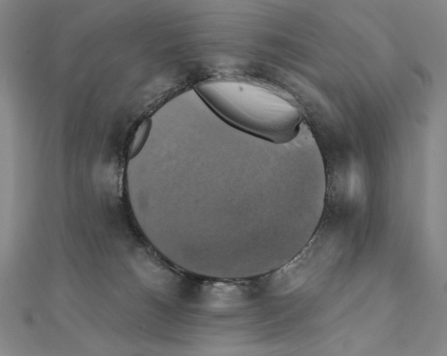 X0000111480180200908111210