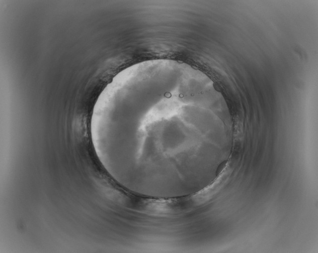X0000111480182200908111210