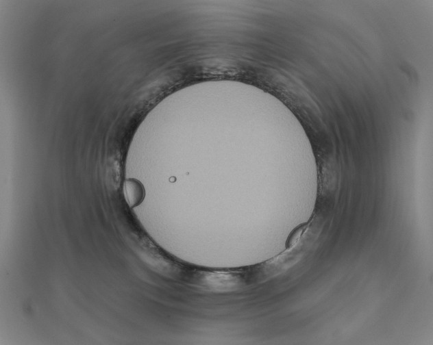 X0000111480183200908111210