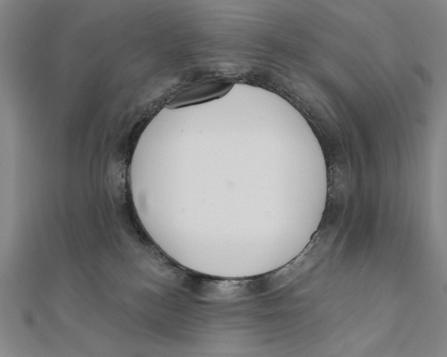 X0000111480184200908111210