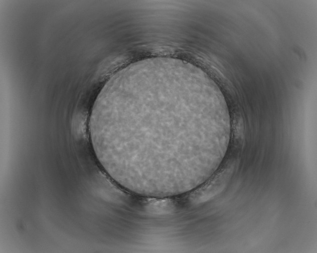 X0000111480185200908111210