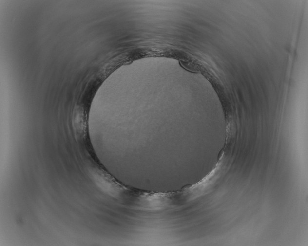X0000111480186200908111210