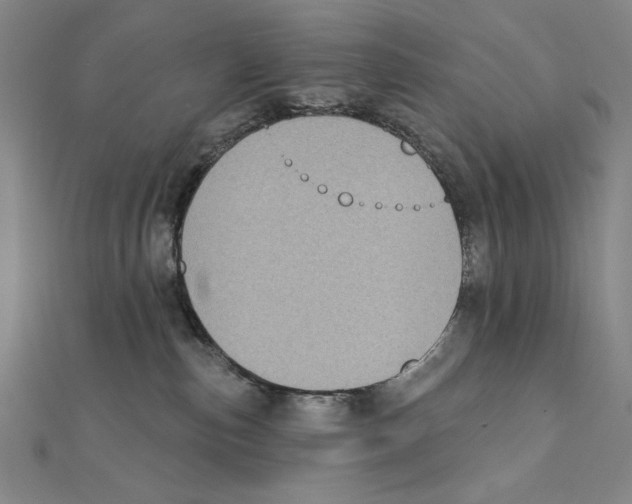 X0000111480187200908111210
