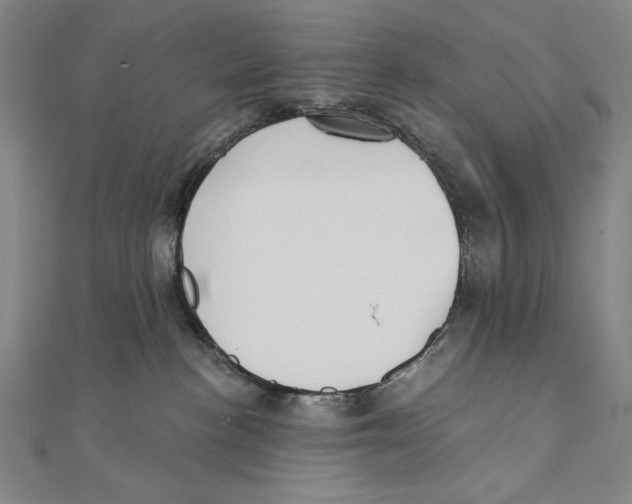 X0000111480188200908111210