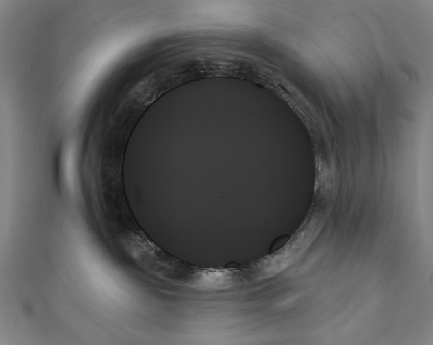 X0000111480189200908111210