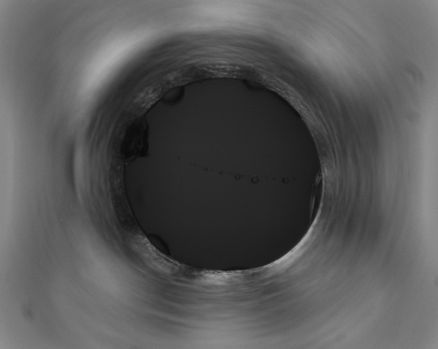 X0000111480190200908111210