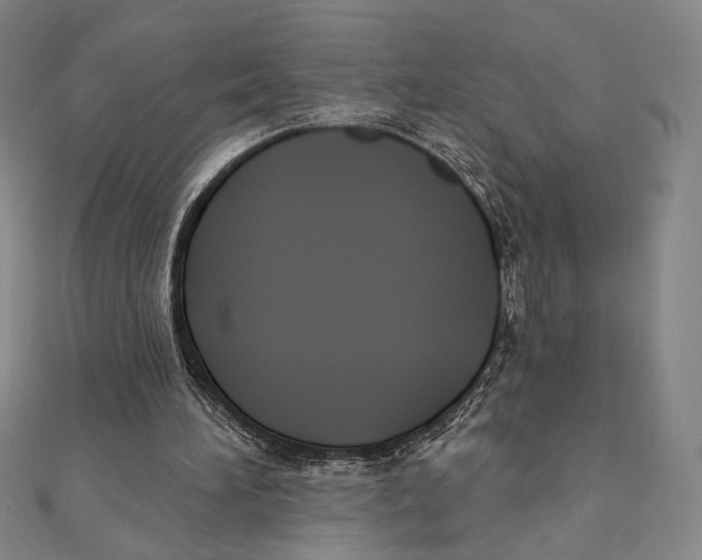 X0000111480196200908111209