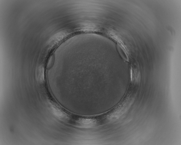 X0000111480205200908111209