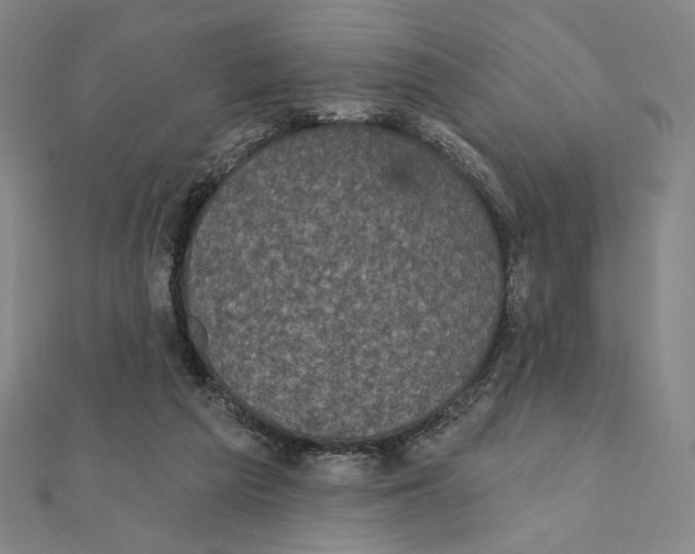 X0000111480209200908111209