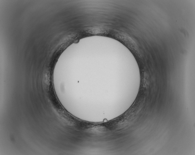 X0000111480210200908111209