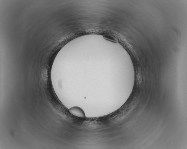 X0000111480211200908111209