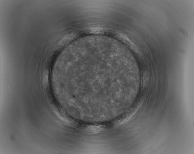 X0000111480213200908111209