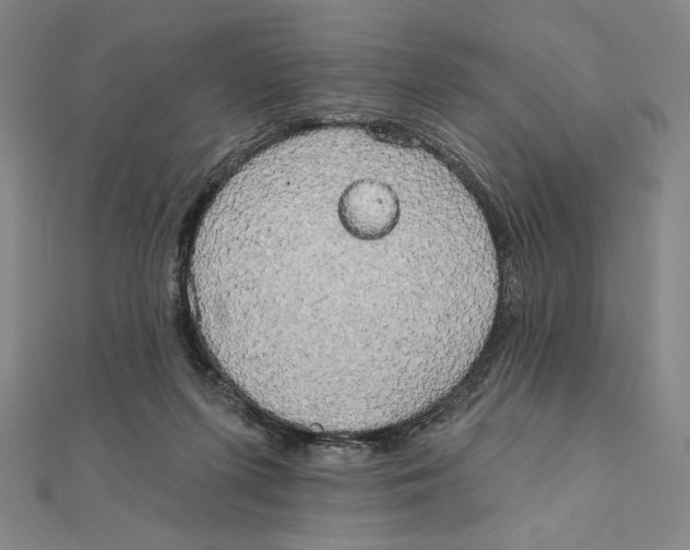 X0000111480215200908111209