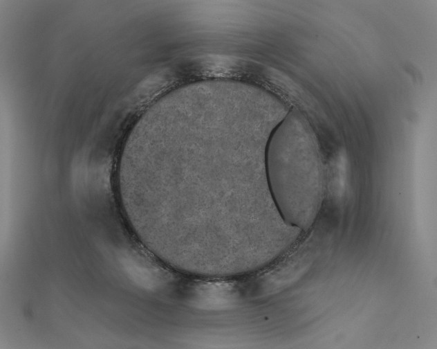 X0000111480217200908111209