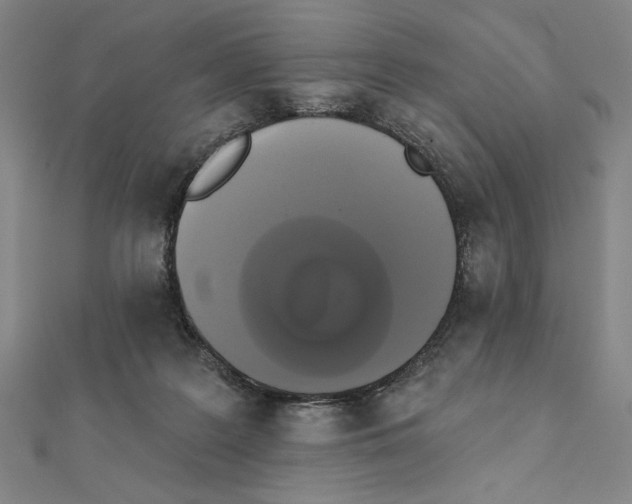 X0000111480219200908111209