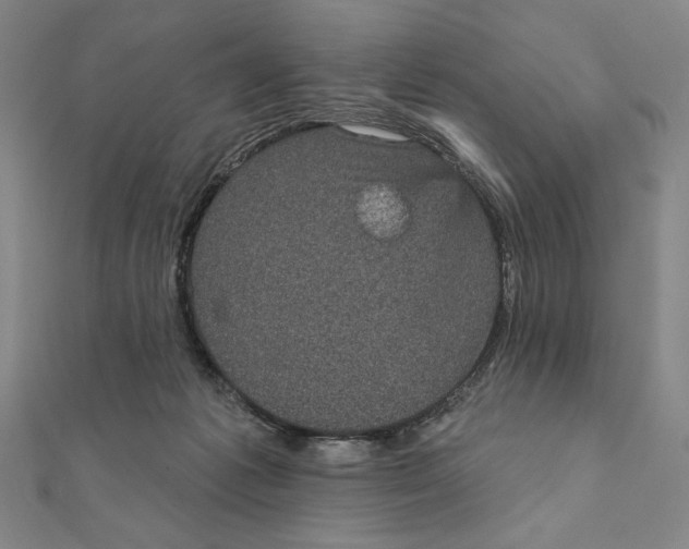 X0000111480221200908111209