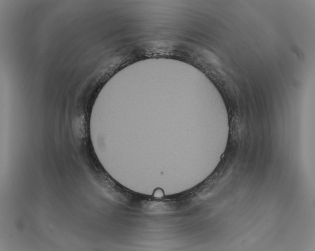 X0000111480224200908111209