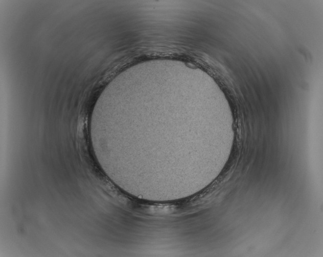 X0000111480225200908111209