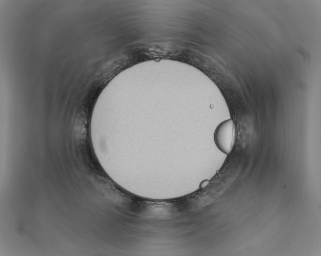 X0000111480226200908111209