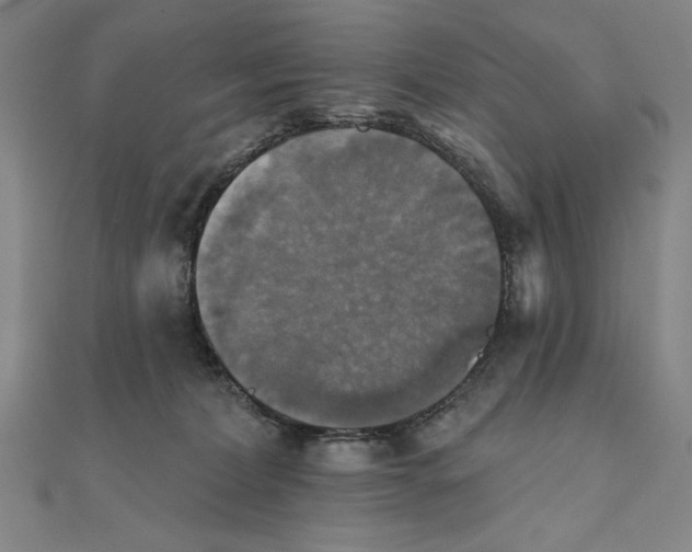 X0000111480228200908111209
