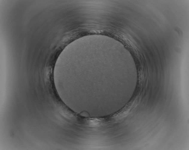 X0000111480229200908111209