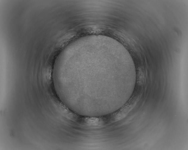 X0000111480230200908111208