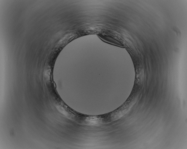 X0000111480231200908111208
